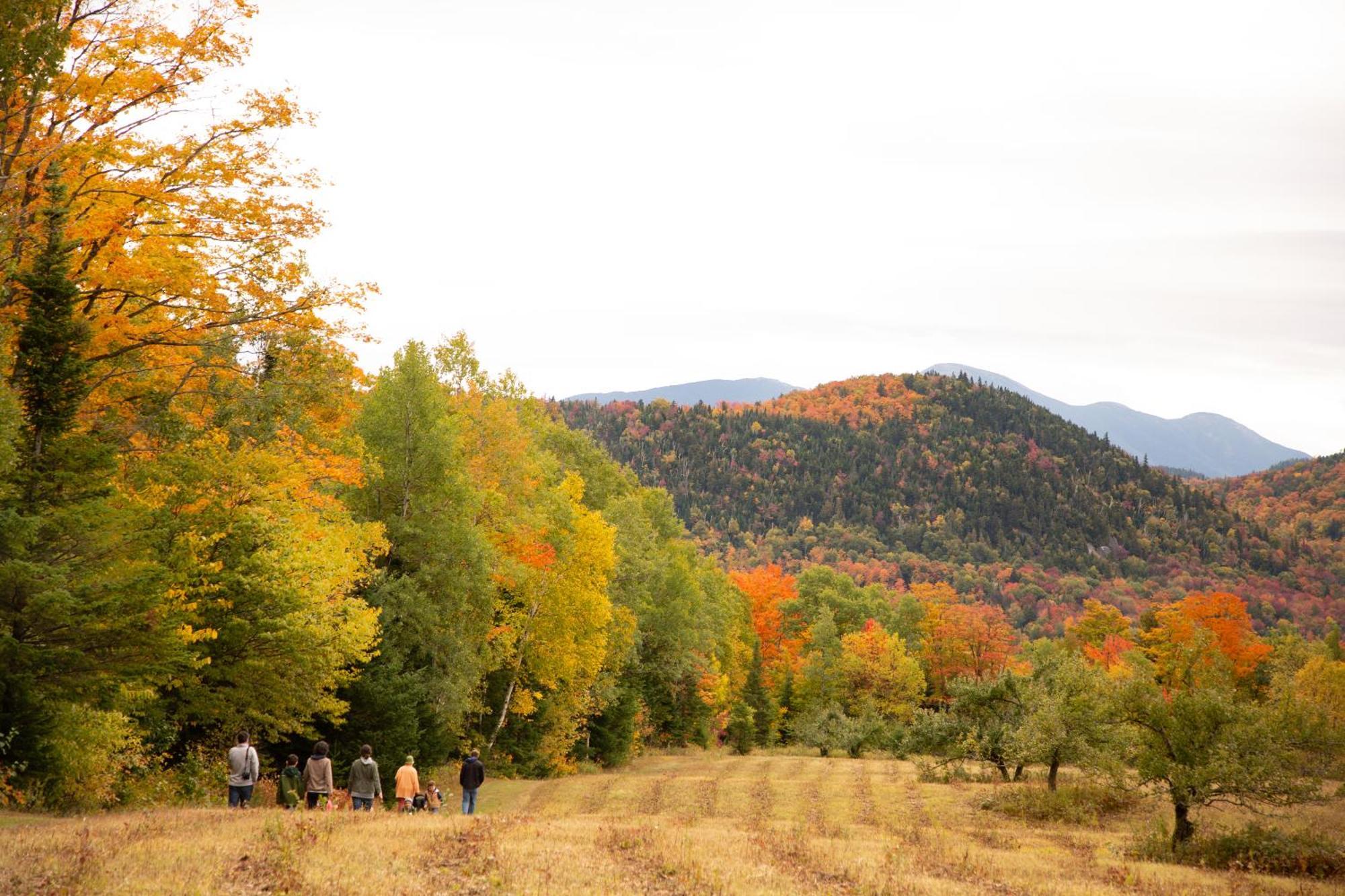 Lake Placid Inn: Residences Luaran gambar