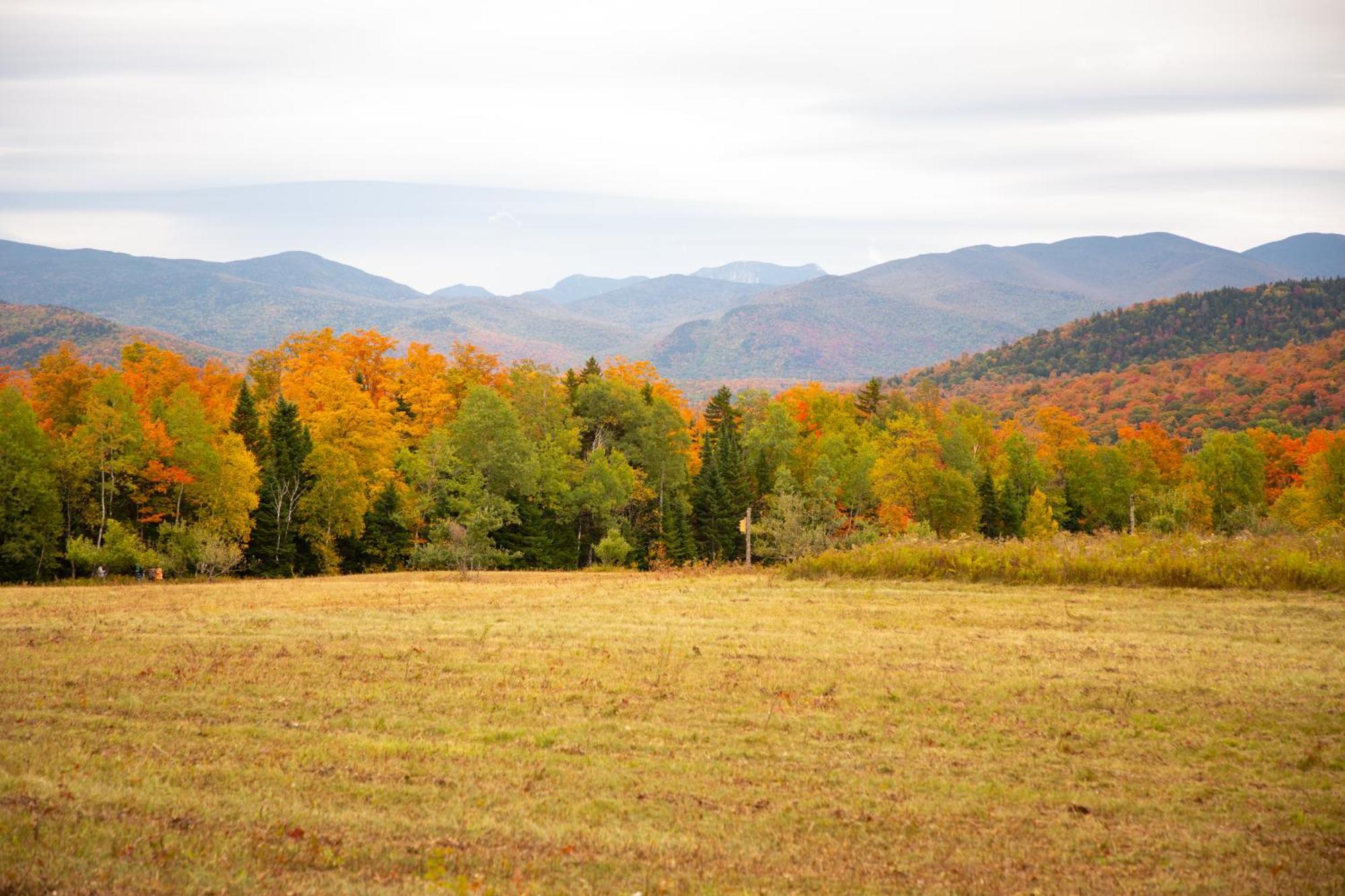 Lake Placid Inn: Residences Luaran gambar